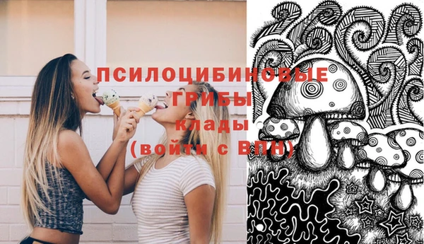 ГАЛЛЮЦИНОГЕННЫЕ ГРИБЫ Алзамай