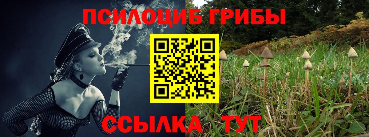 Галлюциногенные грибы Magic Shrooms  Вход с VPN  Биробиджан  Псилоцибиновые грибы Psilocybe 